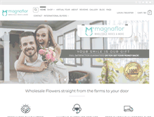Tablet Screenshot of magnaflor.com